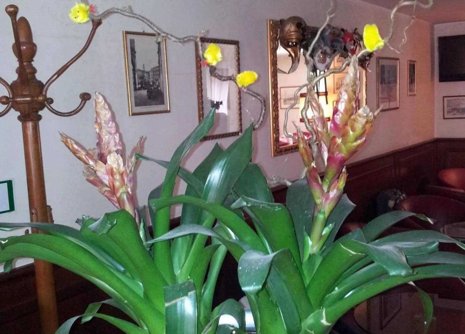 Hotel Regit Mestre